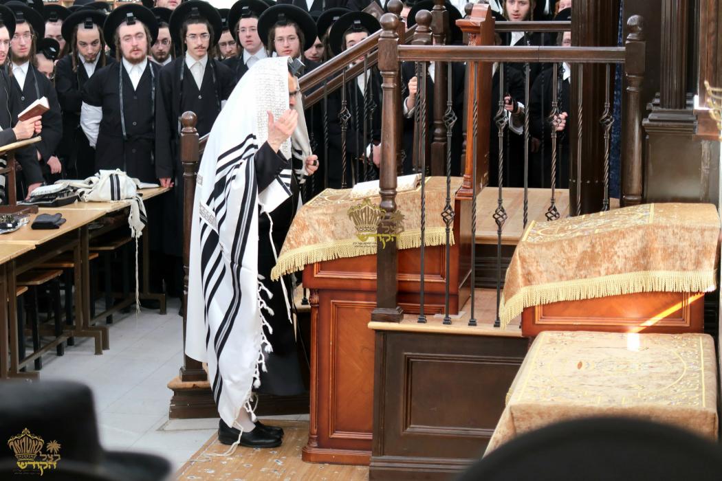 🌴בצל הקודש🌴
רבינו שליט"א ביי אמירת הלל און קריאת ה