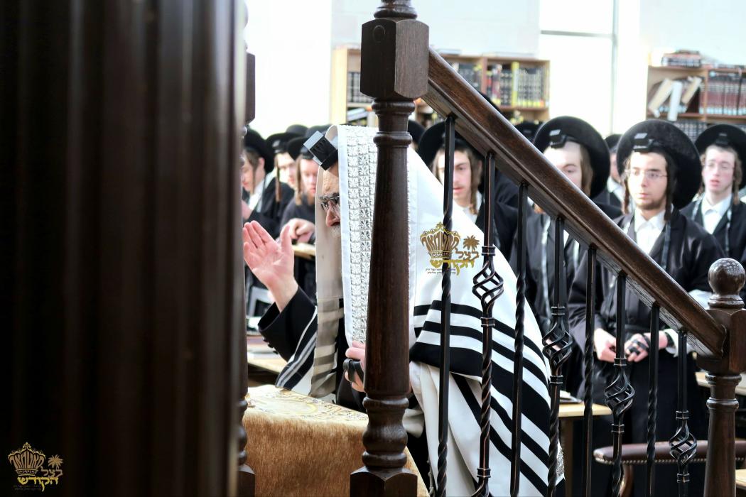 🌴בצל הקודש🌴
רבינו שליט"א ביי אמירת הלל און קריאת ה