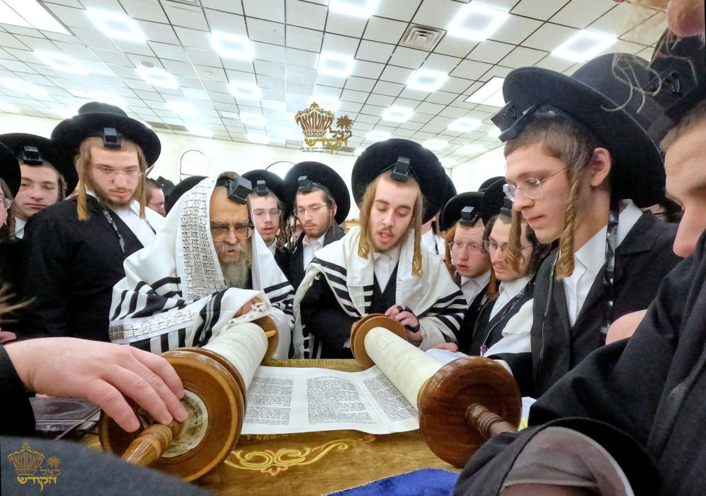 🌴בצל הקודש🌴
רבינו שליט"א ביי אמירת הלל און קריאת ה