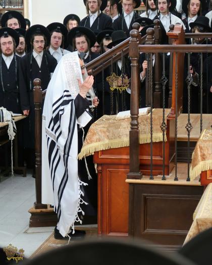 🌴בצל הקודש🌴
רבינו שליט"א ביי אמירת הלל און קריאת ה