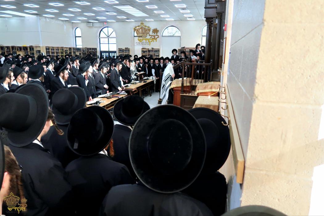 🌴בצל הקודש🌴
רבינו שליט"א ביי אמירת הלל און קריאת ה