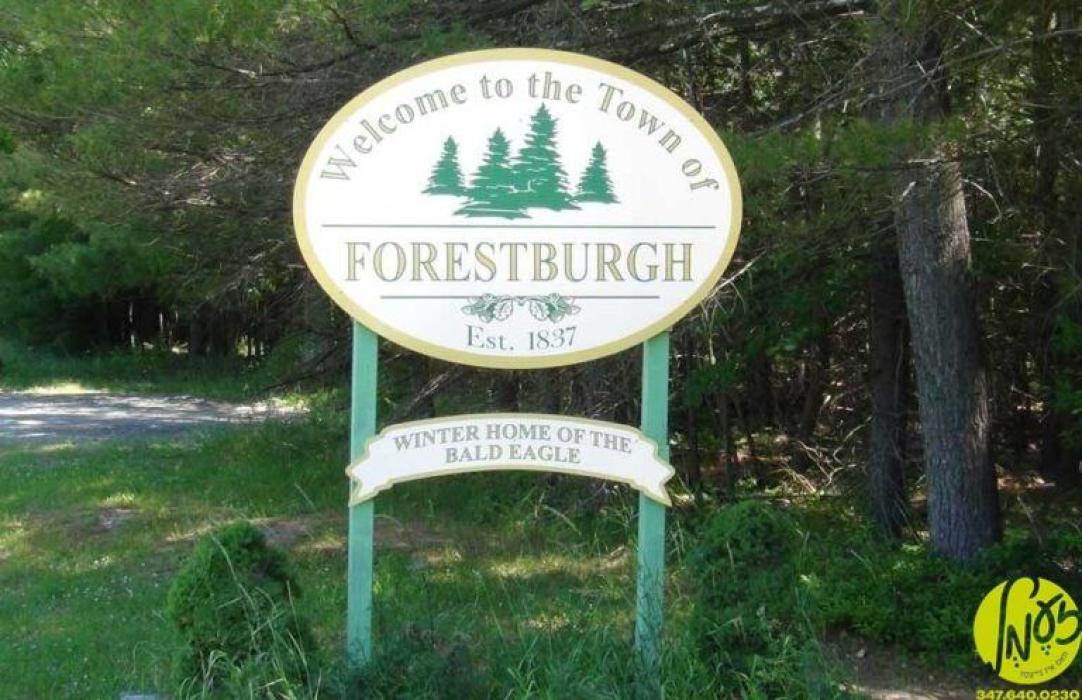 קעטסקילס - אין נאך אן אנטוויקלונג אין די לאנג פארצ