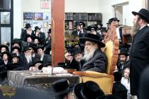 🌴בצל הקודש🌴
רבינו שליט"א בײ הדלקת נר חנוכה בבית מד