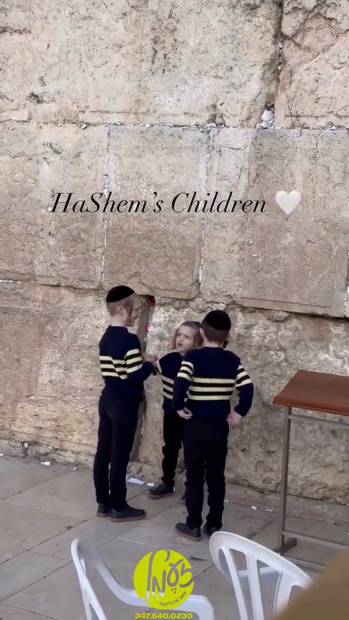 ירושלים - זיס. ביים כותל המערבי.