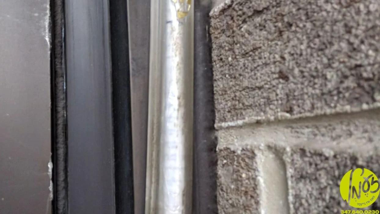 טאראנטא - צום צווייטן מאל אין די לעצטע חודש זענען 