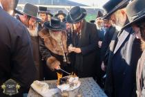 כ''ק רבינו הגה''ק שליט"א ביי תפילת שחרית און מעמד 