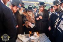 כ''ק רבינו הגה''ק שליט"א ביי תפילת שחרית און מעמד 