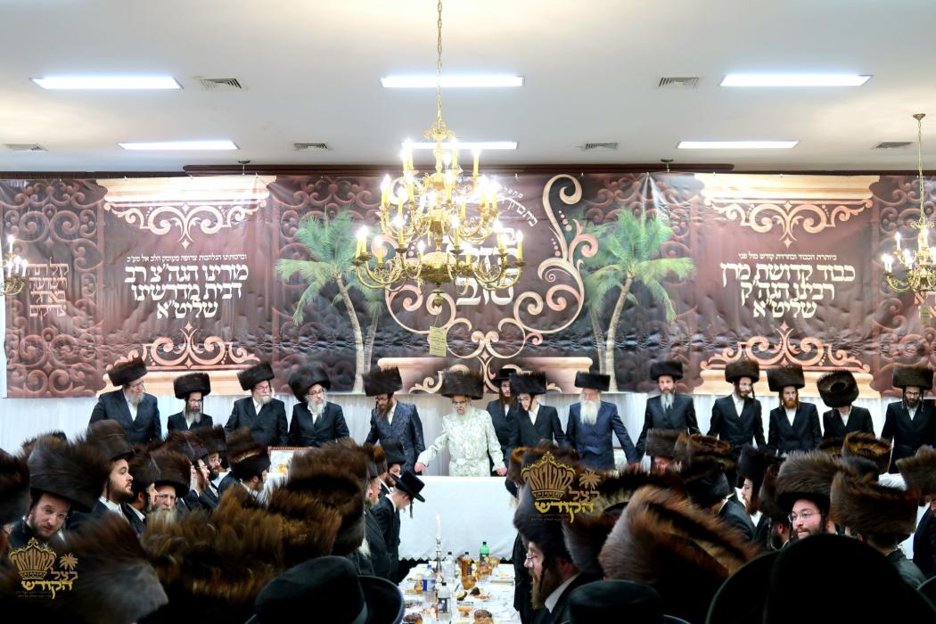 🌴בצל הקודש🌴 
רבינו שליט"א ביים שמחת השבע ברכות אין