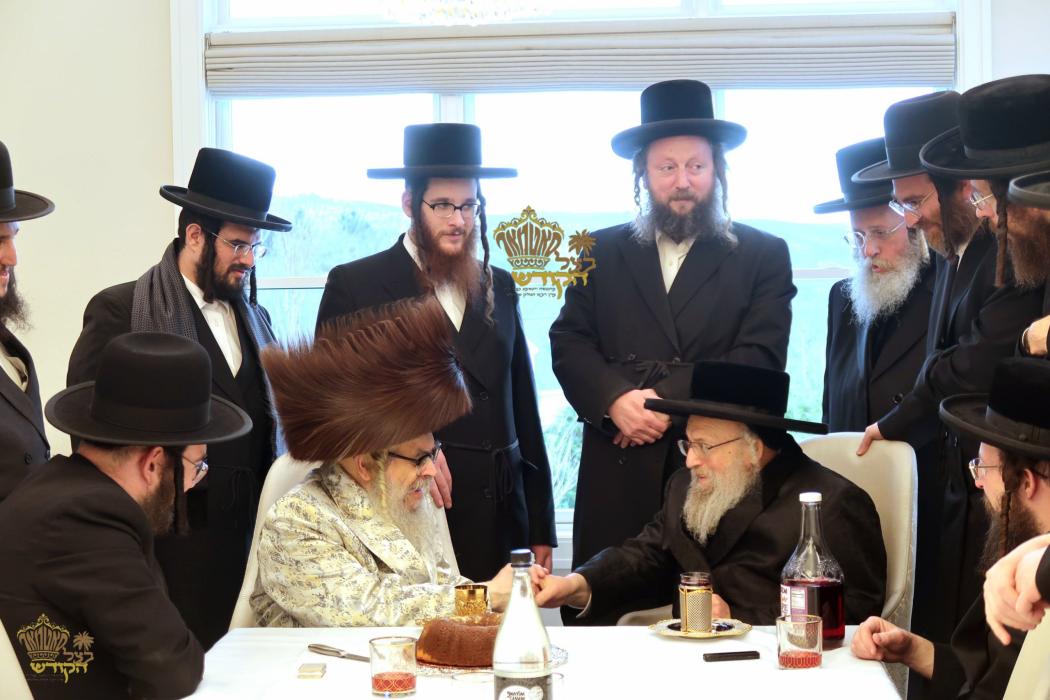 🌴בצל הקודש🌴 
רבינו שליט''א אויף א ביקור גומלין ביי