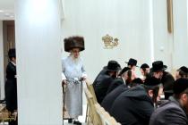 🌴בצל הקודש🌴 
רבינו שליט"א ביים זיך אומקוקן אויף די