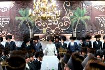 🌴בצל הקודש🌴 
רבינו שליט"א ביים שמחת השבע ברכות אין