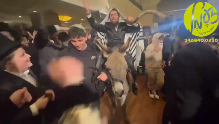 בארא פארק - ביי א חתונה די נאכט אין 'די פאלאס' זאל