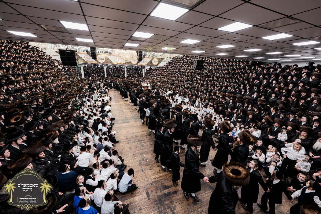 שמחת נישואי נכד כ"ק רבינו הגה"ק שליט"א, החתן הרב י