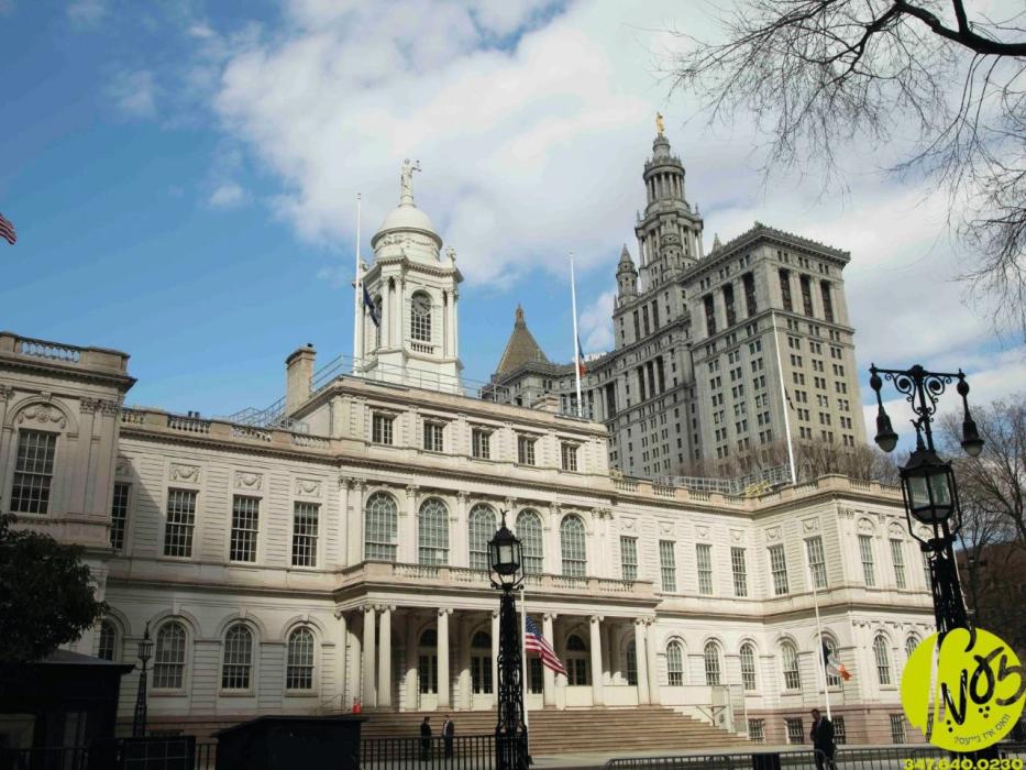 ניו יארק - די אידישע ניו יארק סיטי קאונסיל מיטגליד