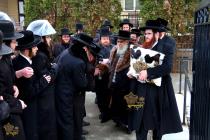 🌴בצל הקודש🌴 
רבינו שליט"א ביים פארלאזן ביתו נאוה ק