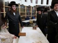 🌴בצל הקודש🌴
רבינו שליט"א ביי אמירת א גוטע וואך נאך