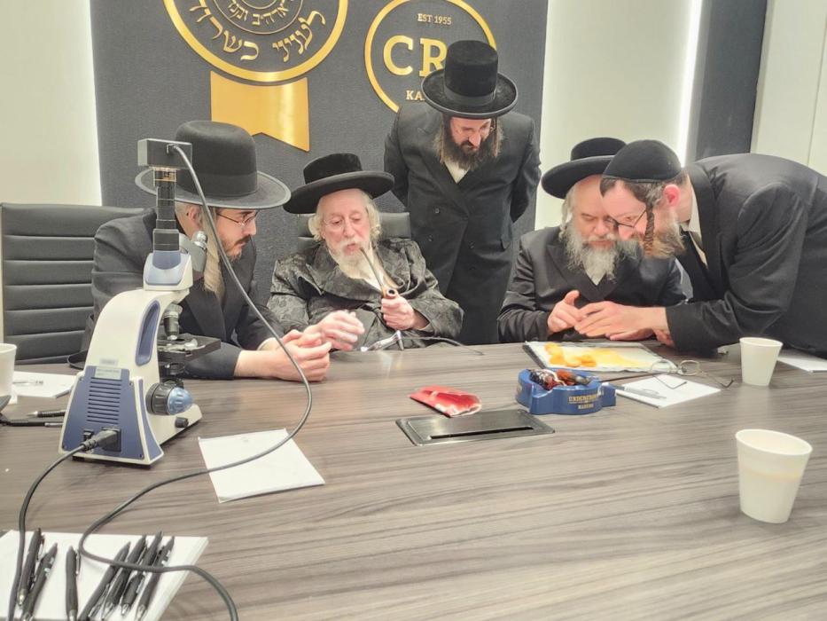 ניו יארק - רבני מערכת הכשרות הגאוה"צ שליט"א ביים א