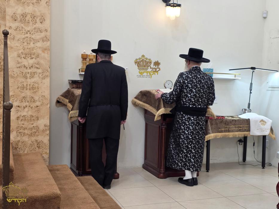 🌴בצל הקודש🌴 
רבינו שליט"א ביי תפילת מנחה און דערנא