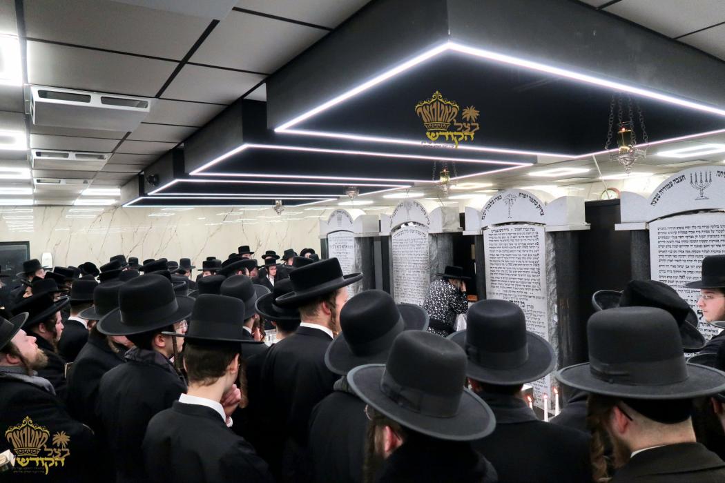 🌴בצל הקודש🌴 
רבינו שליט"א ביים פוקד זיין די ציונים