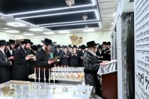 🌴בצל הקודש🌴 
רבינו שליט"א ביים פוקד זיין די ציונים