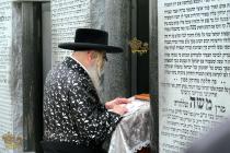 🌴בצל הקודש🌴 
רבינו שליט"א ביים פוקד זיין די ציונים