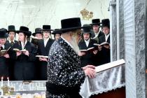 🌴בצל הקודש🌴 
רבינו שליט"א ביים פוקד זיין די ציונים