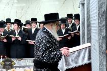 כ''ק רבינו הגה''ק שליט"א ביים פוקד זיין די ציונים 