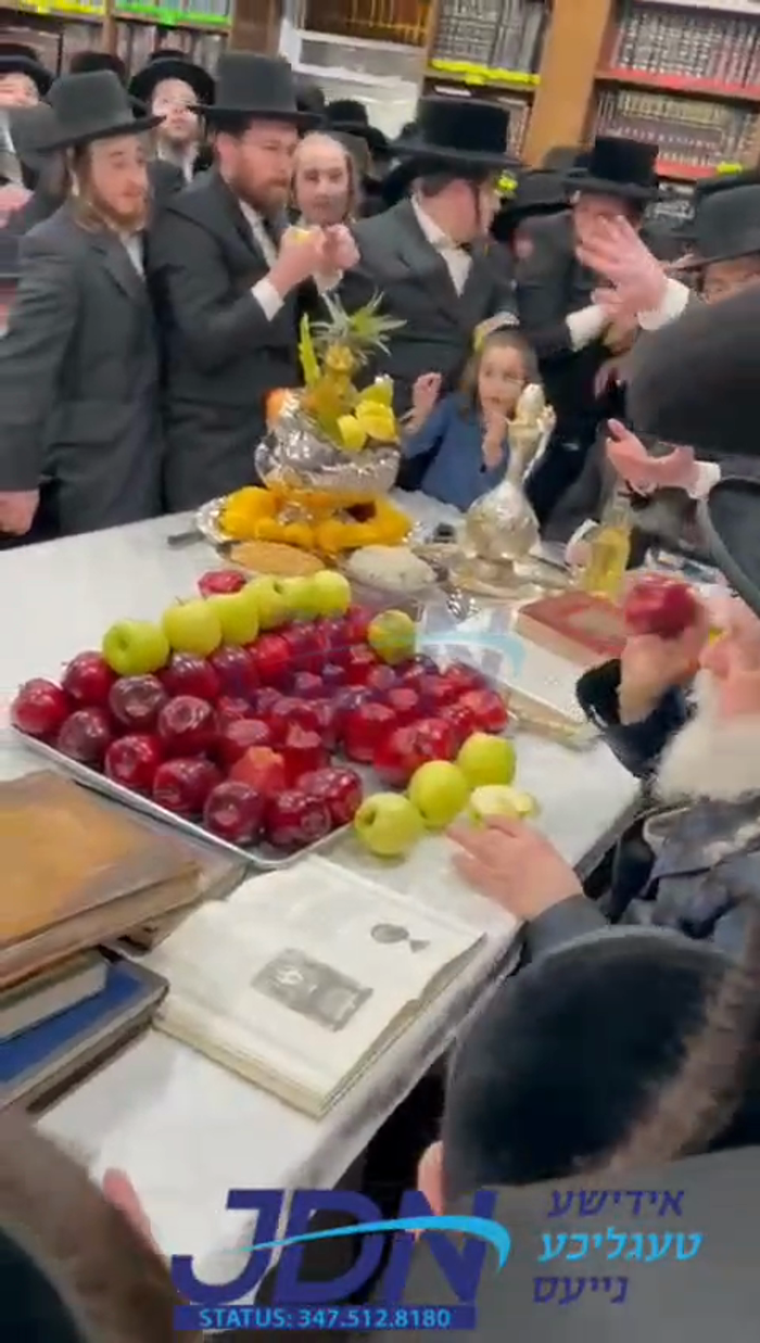 האדמו"ר מלעלוב ביים חמשה עשר בשבט טיש.