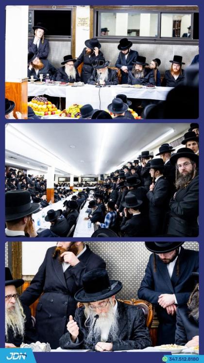 האדמו"ר מסטאניסלאוו ביים חמשה עשר בשבט טיש.