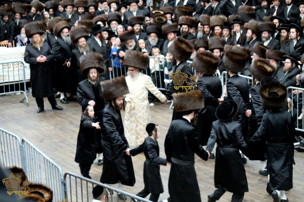 🌴בצל הקודש🌴 
שמחת החתונה פון נכדת רבינו הכלה בת הר