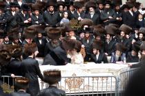 🌴בצל הקודש🌴 
שמחת החתונה פון נכדת רבינו הכלה בת הר