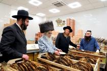 🌴בצל הקודש🌴 
רבינו שליט''א אויף א באזוך אינעם מצה 