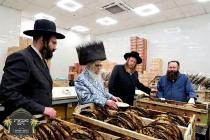 נאך בילדער כ''ק רבינו הגה''ק שליט''א אויף א באזוך 