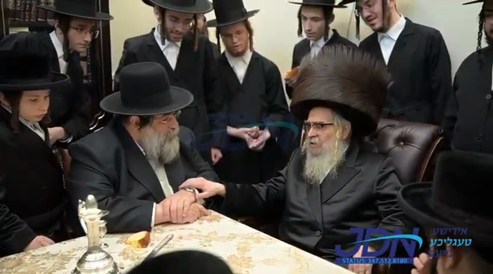 הרה"ח ר' נפתלי הערש צאהלער הי"ו ביי האדמו"ר מסאטמא