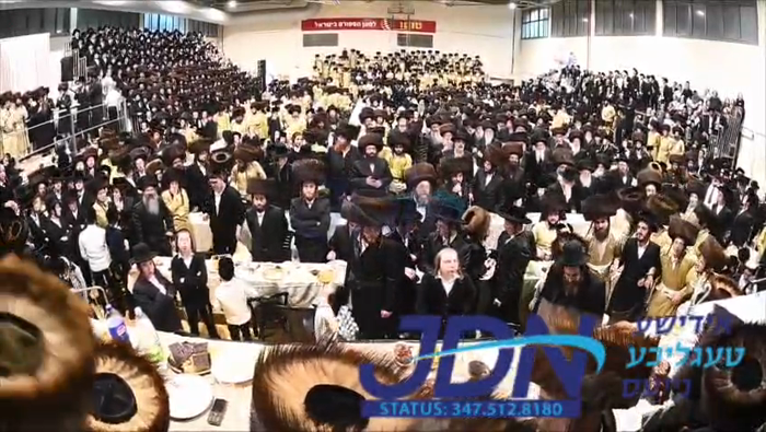 שמחת החתונה פאר אייניקלעך פון האדמורי"ם מתולדות אב