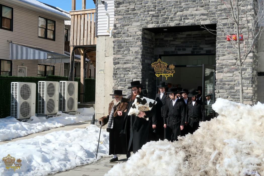 🌴בצל הקודש🌴 
רבינו שליט"א ביים מסיבת לחיים היינט נ