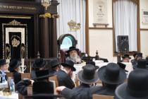 🌴בצל הקודש🌴
רבינו שליט''א ביים שלחן הטהור וסעודת ה