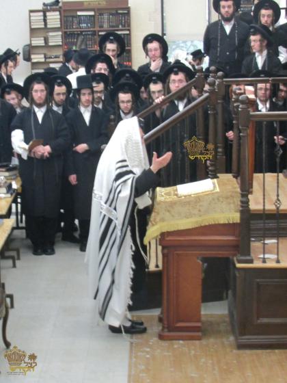 🌴בצל הקודש🌴
רבינו שליט''א בײ אמירת הלל לפני התיבה 