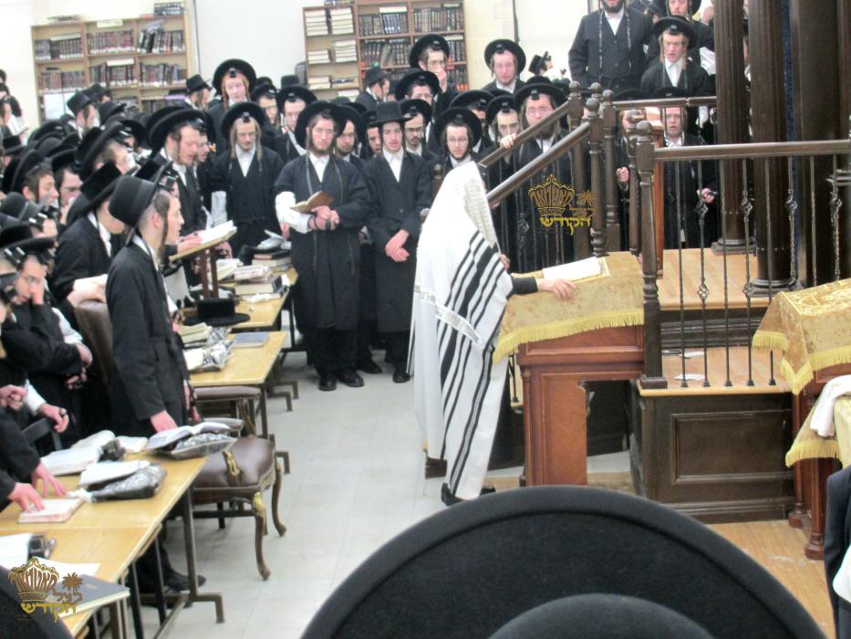 🌴בצל הקודש🌴
רבינו שליט''א בײ אמירת הלל לפני התיבה 