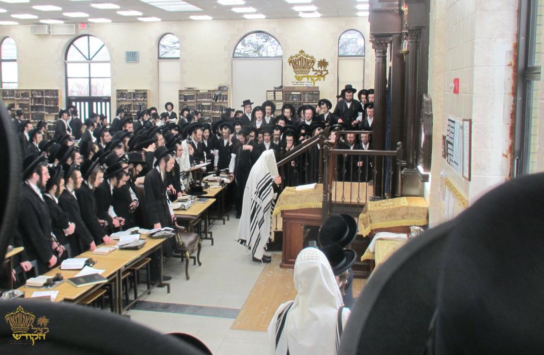 🌴בצל הקודש🌴
רבינו שליט''א בײ אמירת הלל לפני התיבה 