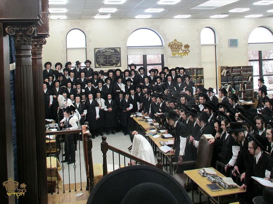 🌴בצל הקודש🌴
רבינו שליט''א בײ אמירת הלל לפני התיבה 