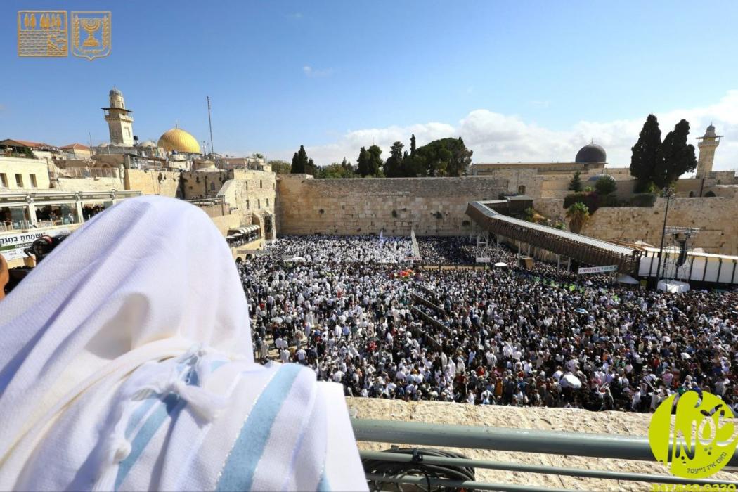 שועלים הלכו בו: שאק נאך אורטייל פון בג"ץ צו שענקן 