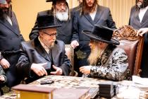 🌴בצל הקודש🌴
האדמו"ר מראחמיסטריווקא מאנסי שליט''א ו