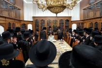 🌴בצל הקודש🌴
תלמידי ישיבה מבקשי השם פון ב''פ בקודש 