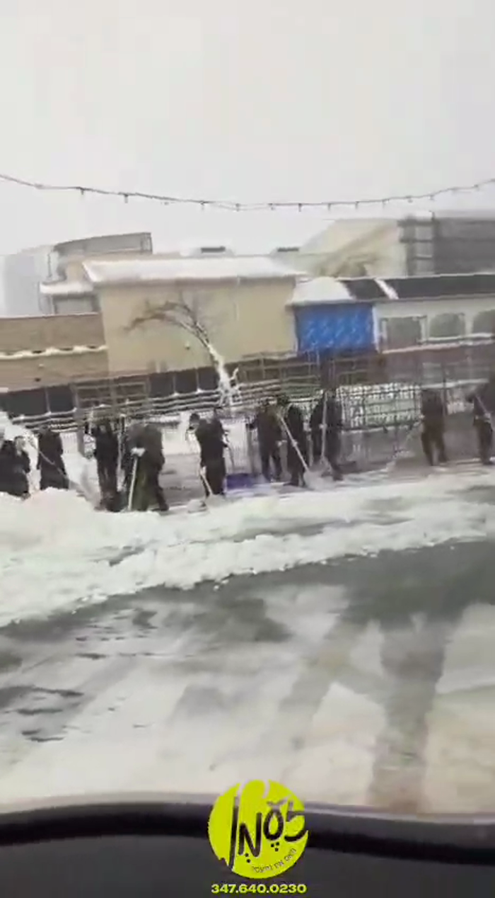 היסטארישע שניי בליזערד: שיכון סקווירא - פילע בחורי