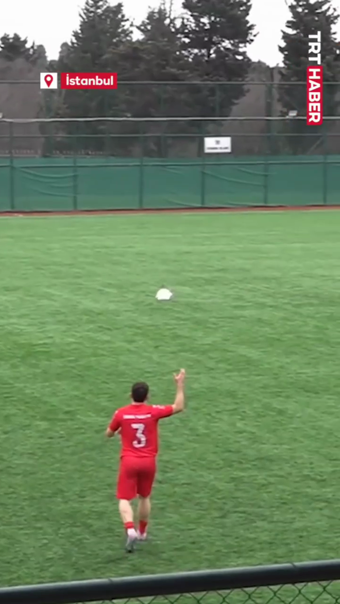 נאך וואס א פייגל איז געווארן פארוואונדעט פון א באל