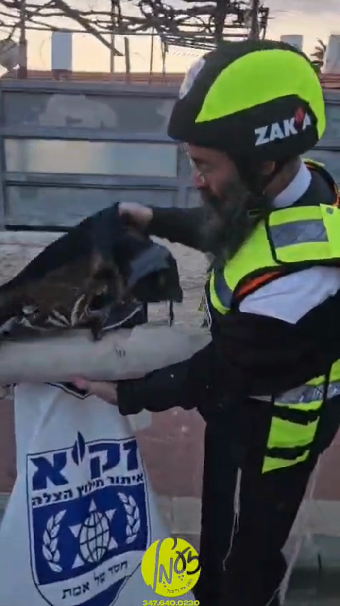 אותיות פורחות באוויר: גווילין פון א געשעדיגטע ספר 