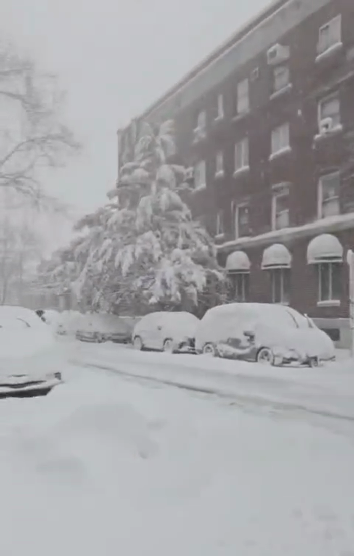 די פארשנייטע גאסן אין בארא פארק. 

קרעדיט: מערכת. 