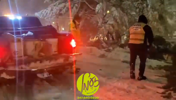 היסטארישע שניי בליזערד: לעיקוואוד - חברים וואלונטי