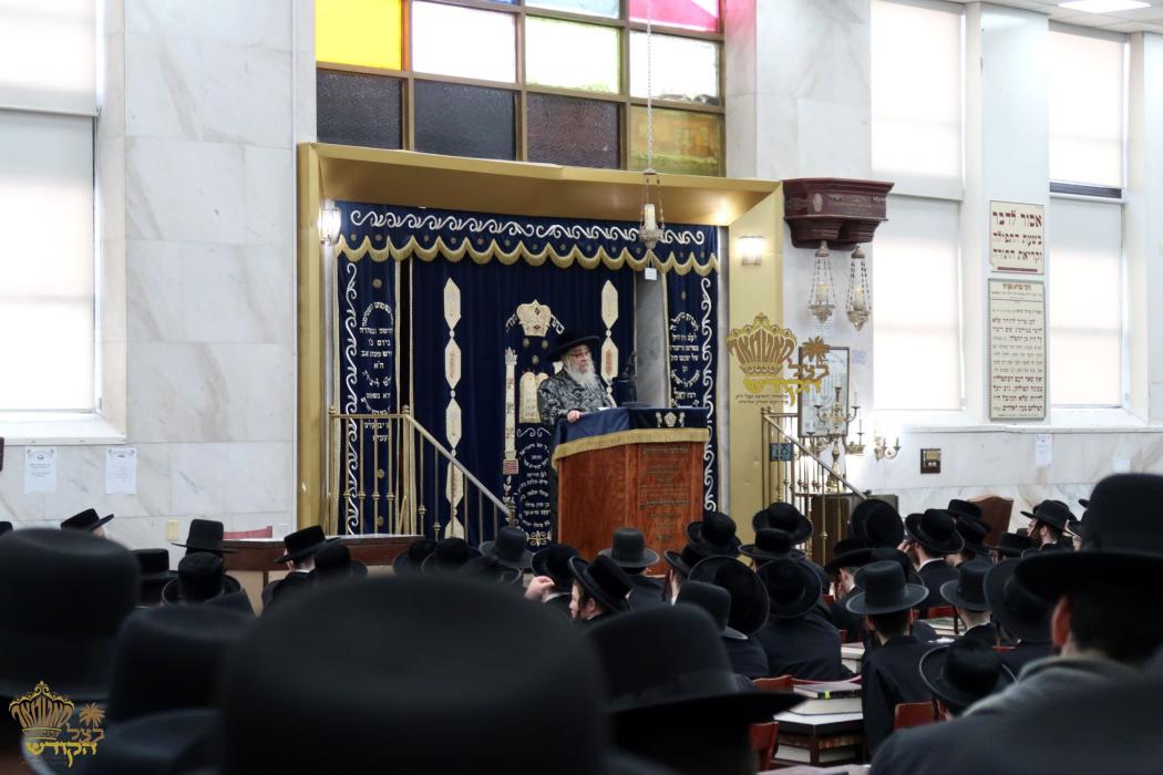 🌴בצל הקודש🌴 
רבינו שליט"א ביים משמיע זיין דב"ק ודב